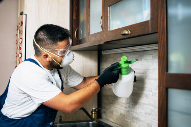 Pest Prevention Services in Auburn Hills, MI