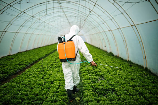 Best Insect Control  in Auburn Hills, MI