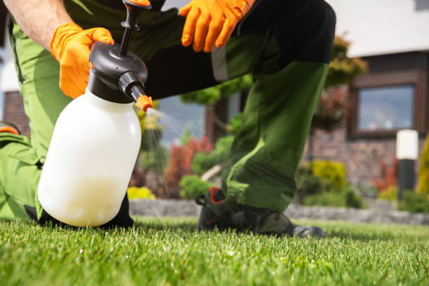 Best Bed Bug Extermination  in Auburn Hills, MI
