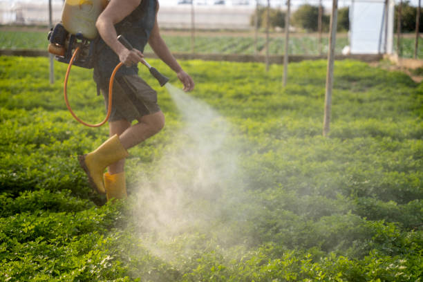 Best Pest Prevention Services  in Auburn Hills, MI