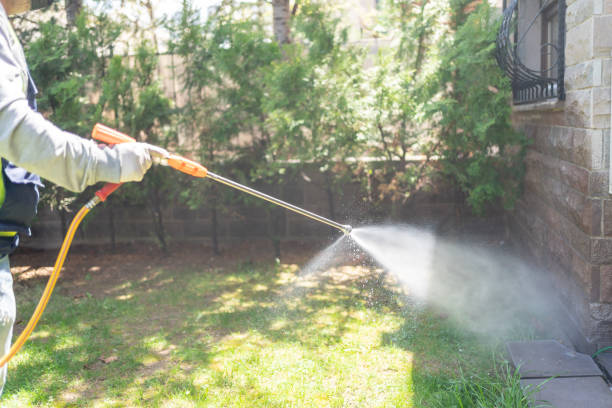 Best Pest Control Near Me  in Auburn Hills, MI