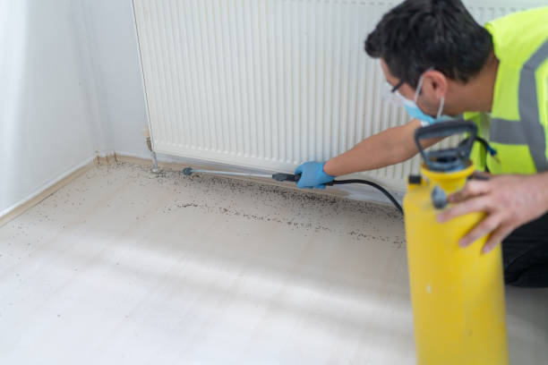 Best Residential Pest Control  in Auburn Hills, MI