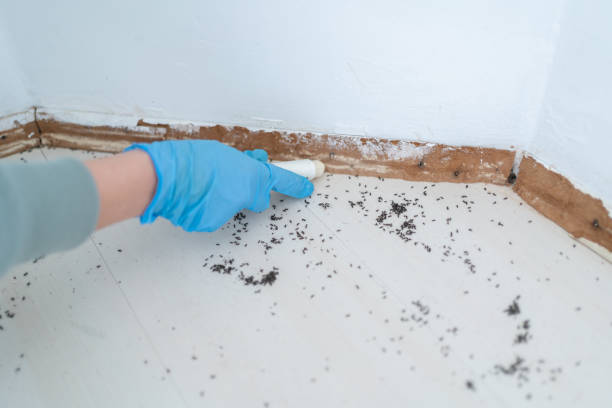 Auburn Hills, MI Pest Control Company