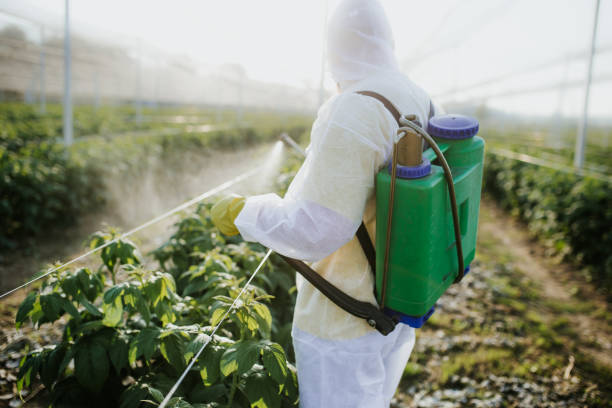 Best Exterminator Services  in Auburn Hills, MI